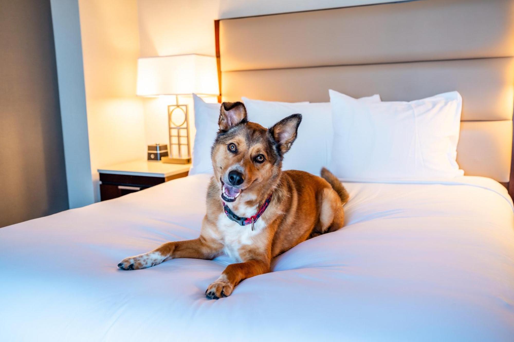 Hotel Hyatt Regency Boston/Cambridge Zewnętrze zdjęcie